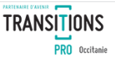 transitions pro.png
